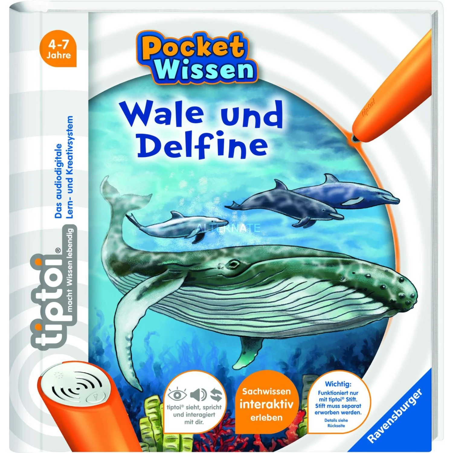 Bücher Ravensburger Tiptoi Pocket Wissen: Wale Und Delfine, Lernbuch 1 Bücher Ravensburger Tiptoi Pocket Wissen: Wale Und Delfine, Lernbuch
