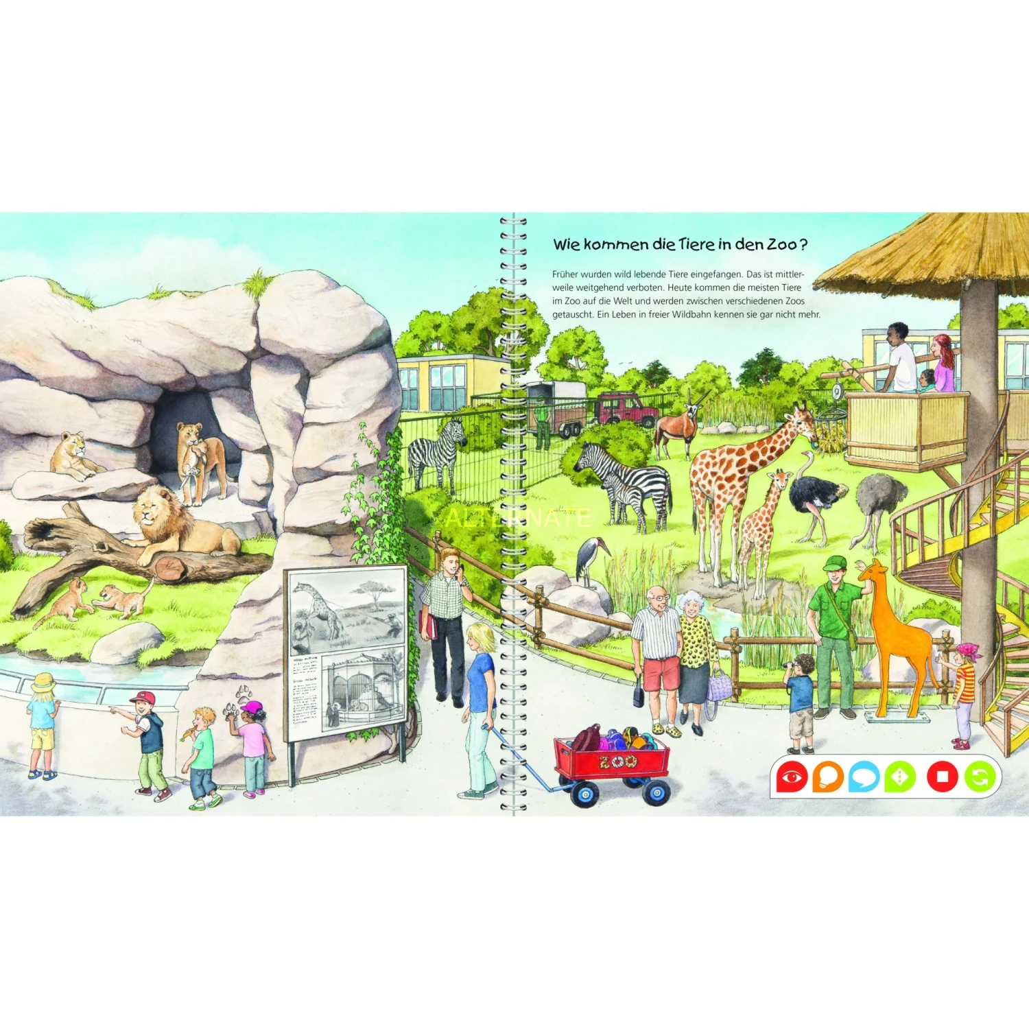 Bücher Ravensburger Tiptoi Wieso? Weshalb? Warum? Entdecke Den Zoo, Lernbuch – Bild 2